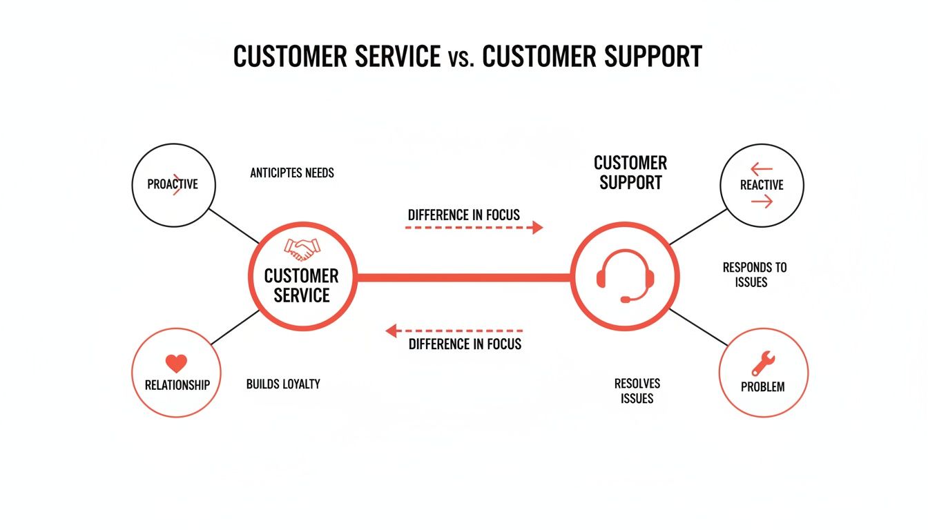 Diagram comparing customer service and customer support, detailing their proactive/reactive nature and focus on relationships/problems.
